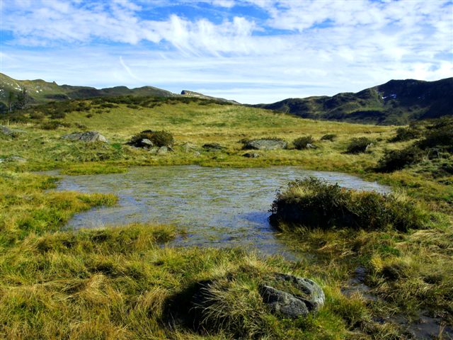 Hoher Freschen