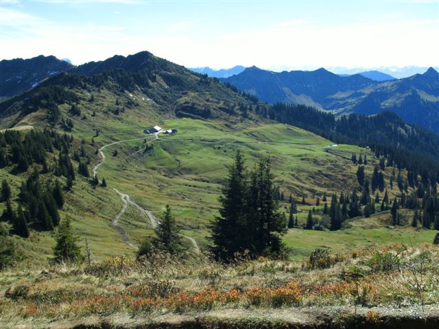 Hoher Freschen - Alp G�fis