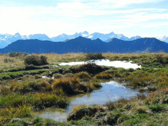 Hoher Freschen