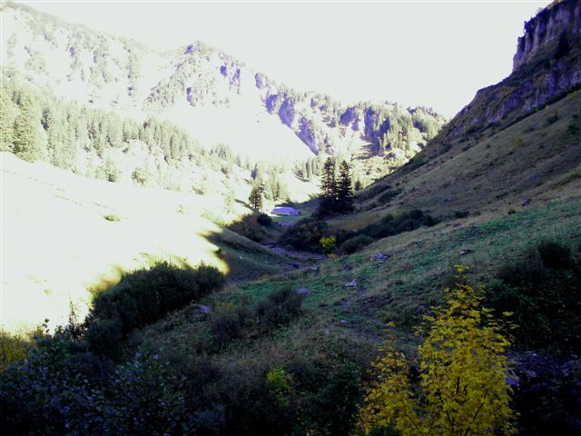 Hintermellen Alp