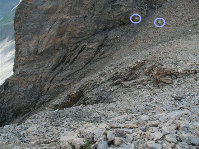 Pizol - Gigerwald