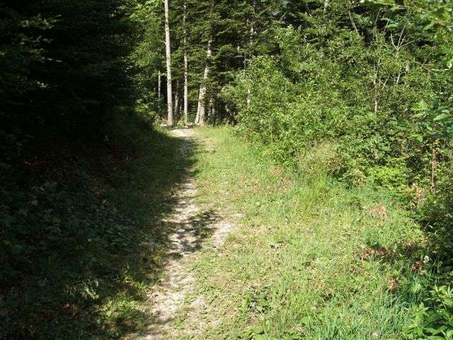 Pizol - Gigerwald