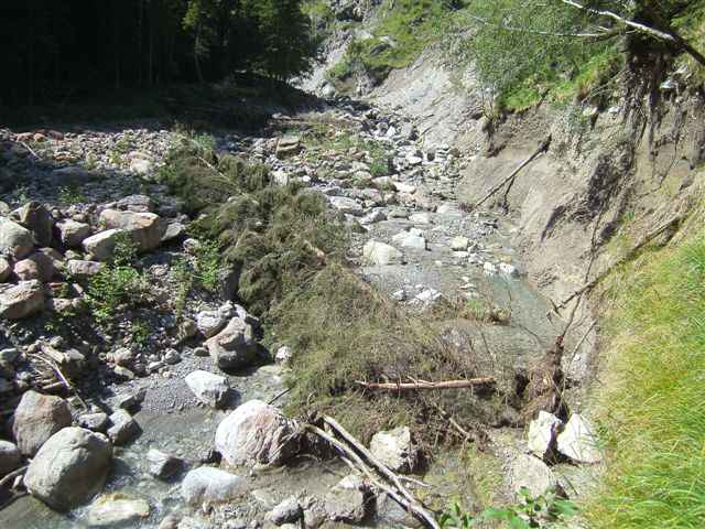 Saminatal, Rheinholzer - Vorrat