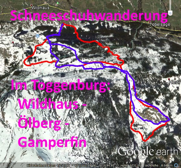 Schneeschuhwanderung Toggenburg Wildhaus (Google Earth)