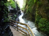 Rappenlochschlucht