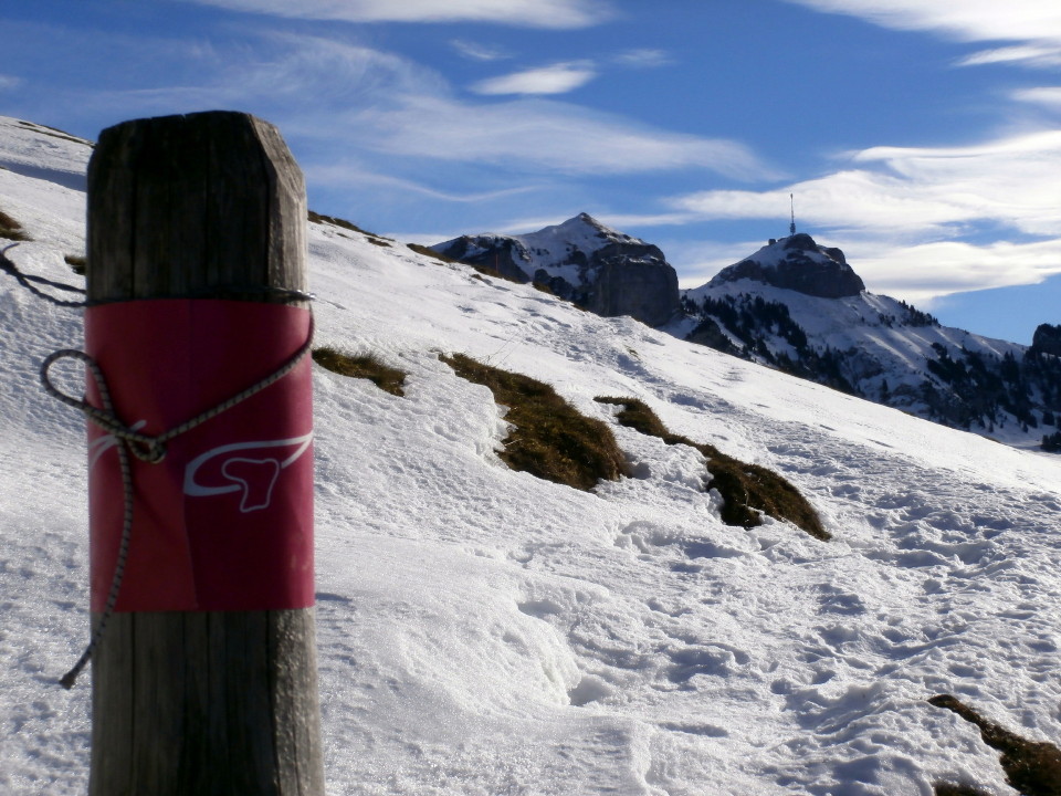 Schneeschuhwanderung F�hneren