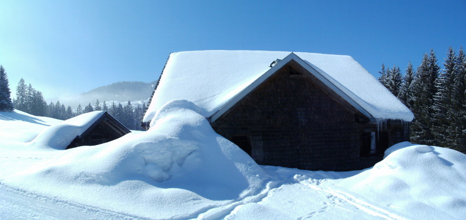 Schneeschuhwanderung Wildhaus