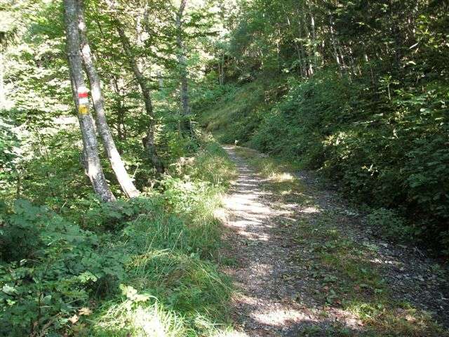 Walenstadtberg - Laubegg - Quinten