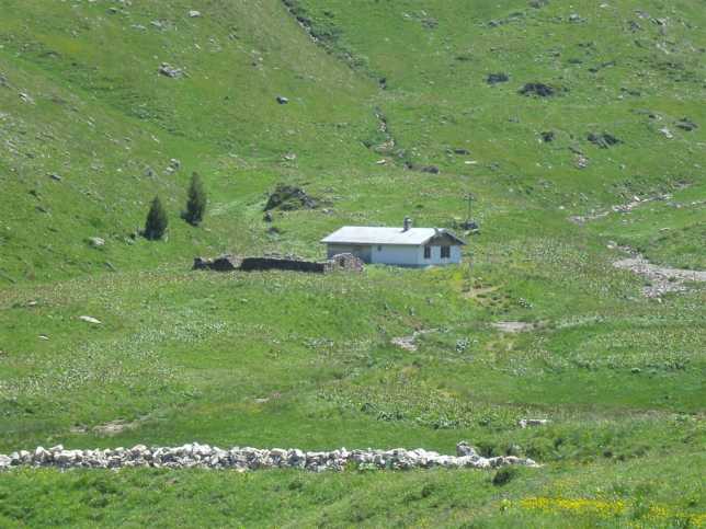 Alp Rinderfans, Schilstal