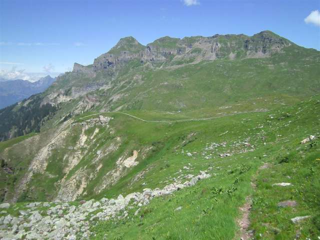 Alp Rinderfans, Schilstal