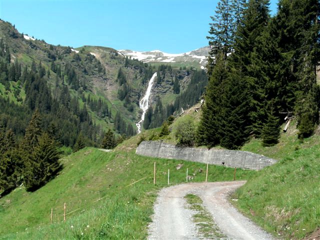 Schilstal zwischen Flums und Spitzmeilen
