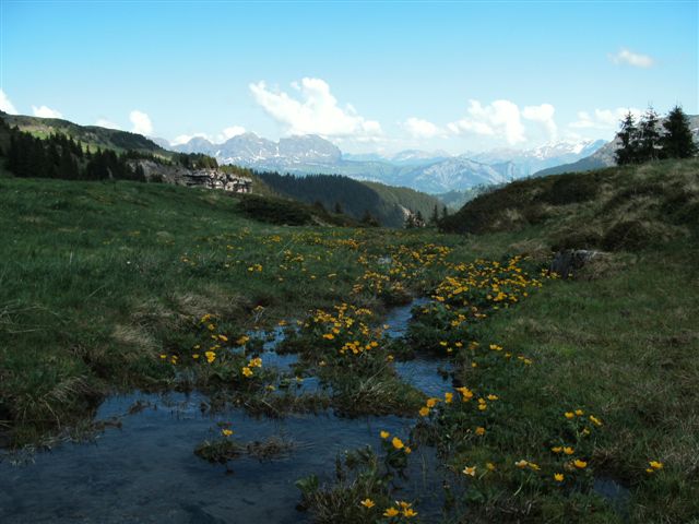 Schilstal zwischen Flums und Spitzmeilen