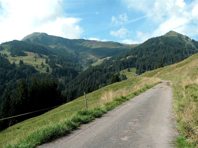 Schilstal zwischen Flums und Spitzmeilen