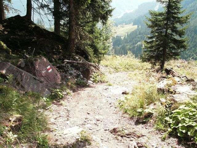 Schilstal zwischen Flums und Spitzmeilen