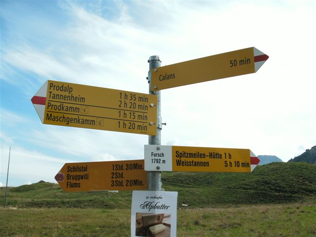 Schilstal zwischen Flums und Spitzmeilen