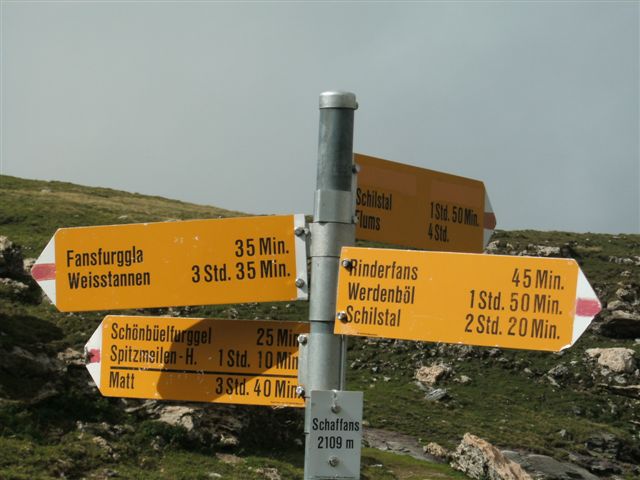 Schilstal zwischen Flums und Spitzmeilen
