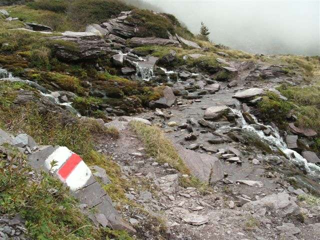 Schilstal zwischen Flums und Spitzmeilen