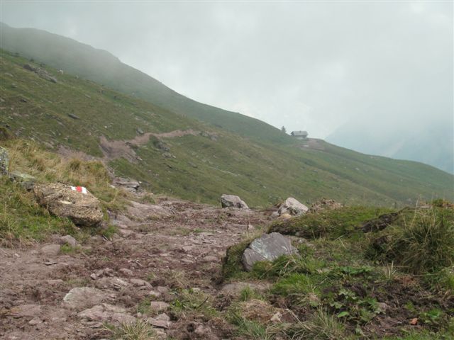 Alp S�ss, Schilstal zwischen Flums und Spitzmeilen