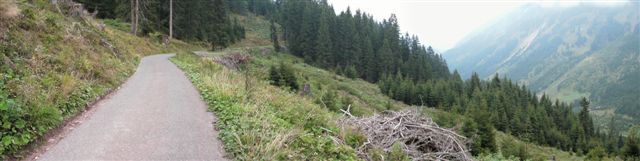Schilstal zwischen Flums und Spitzmeilen