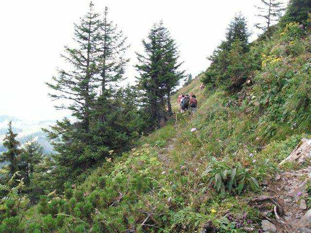 Alp Looch Amden / Arvenbel