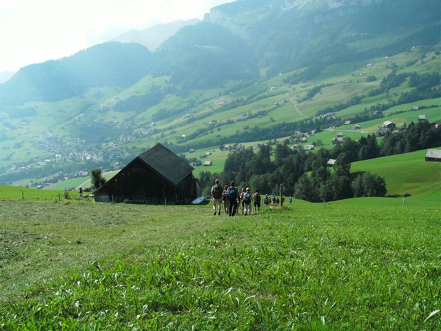 Alp Looch Amden / Arvenbel