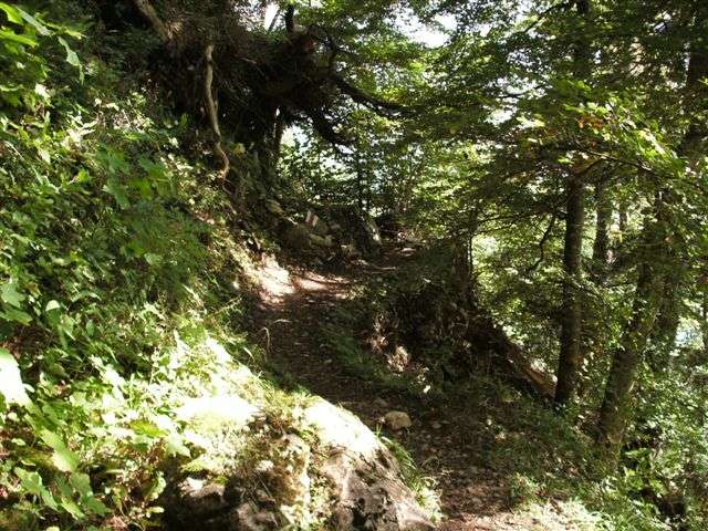 Walenstadtberg - Laubegg - Quinten