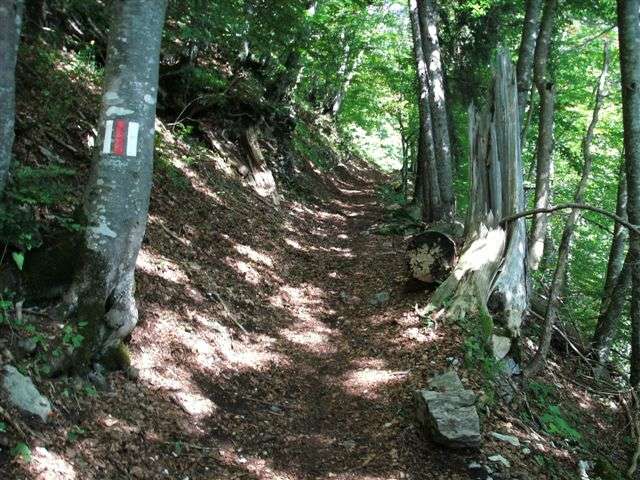 Walenstadtberg - Laubegg - Quinten