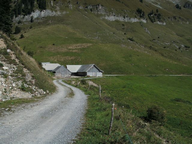 Alp Schwaldis
