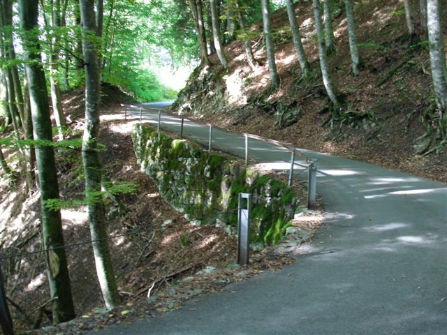 Walenstadtberg - Laubegg - Quinten