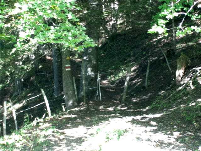 Walenstadtberg - Laubegg - Quinten