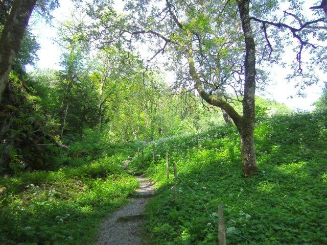 Walensee: Walenstadt - Quarten - Weesen