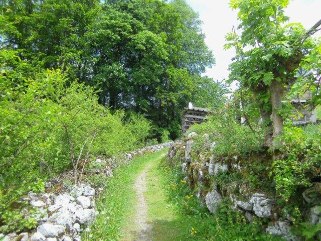 Walensee: Walenstadt - Quarten - Weesen