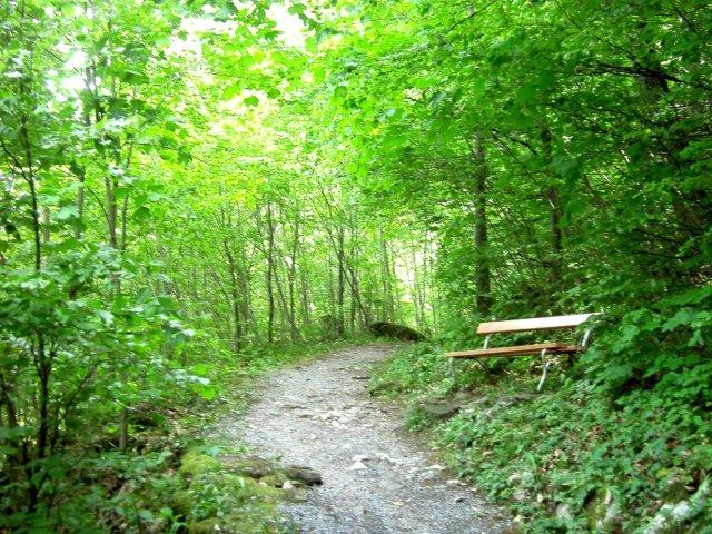 Walensee: Walenstadt - Filzbach - Weesen