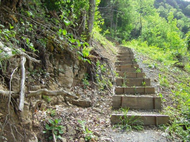 Walensee: Walenstadt - Filzbach - Weesen