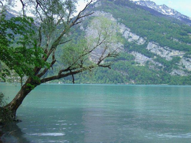 Walensee