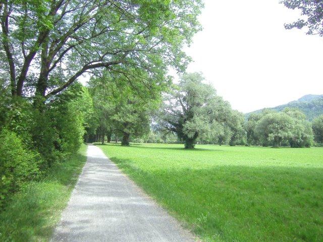 Walensee: Walenstadt - Filzbach - Weesen
