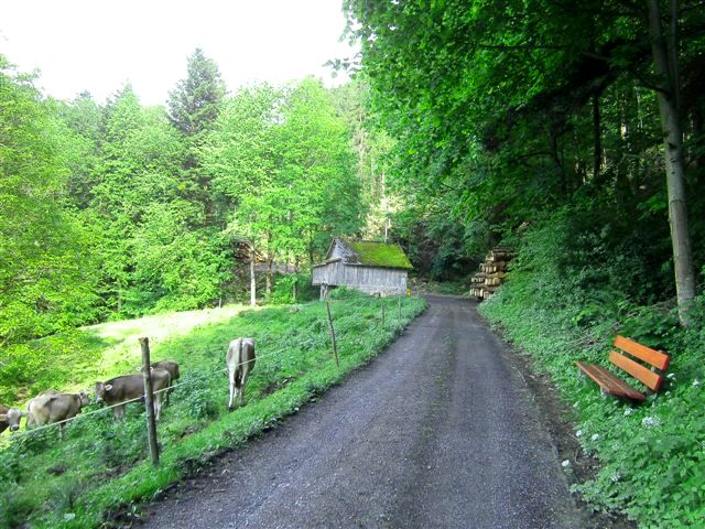 Walensee Walenstadt - Oberterten - Weesen
